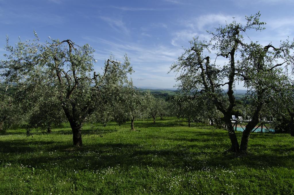 Agriturismo Poggio Bonelli Кастельнуово-Берарденга Экстерьер фото
