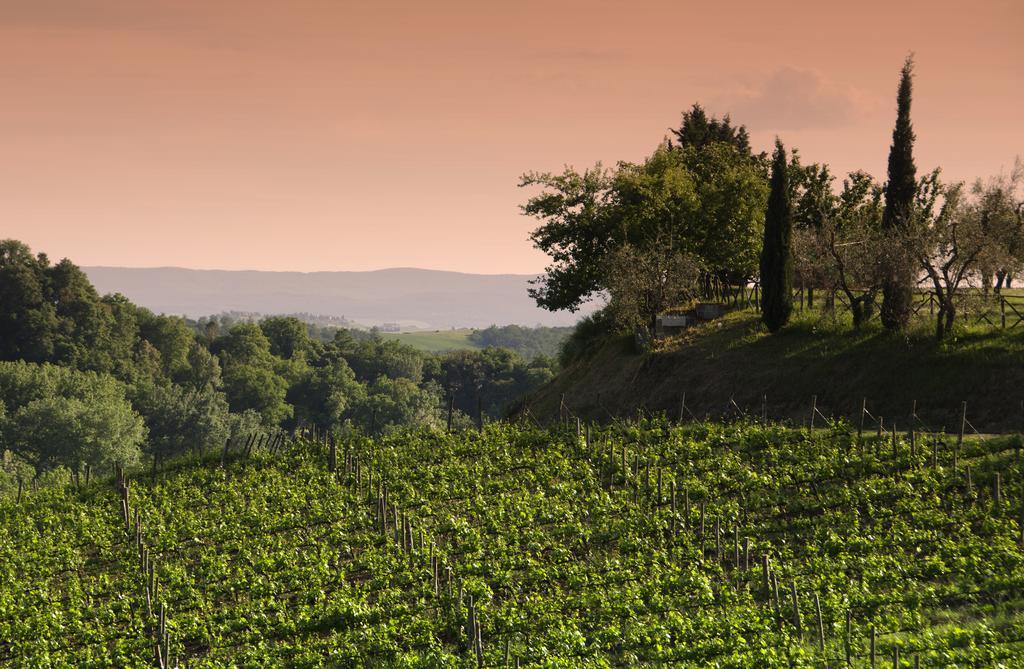 Agriturismo Poggio Bonelli Кастельнуово-Берарденга Экстерьер фото