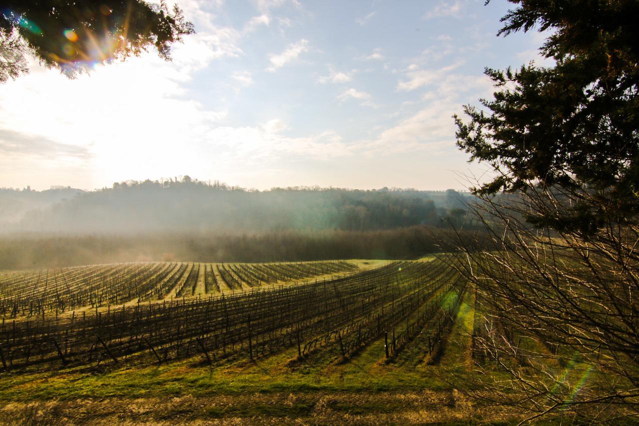 Agriturismo Poggio Bonelli Кастельнуово-Берарденга Экстерьер фото