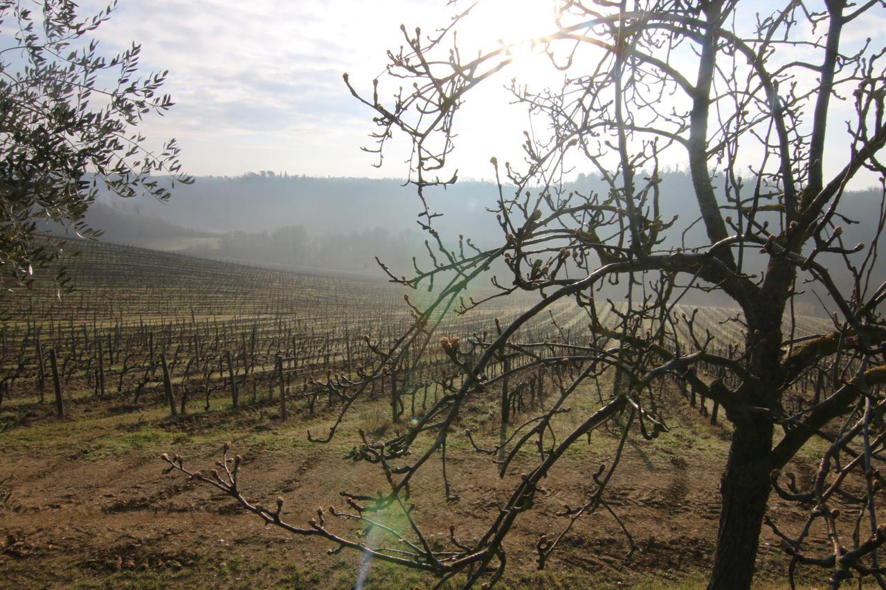 Agriturismo Poggio Bonelli Кастельнуово-Берарденга Экстерьер фото